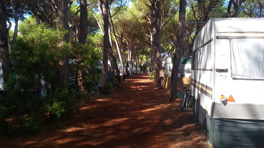 Camping Village Il Sole Marina di Grosseto Exteriör bild